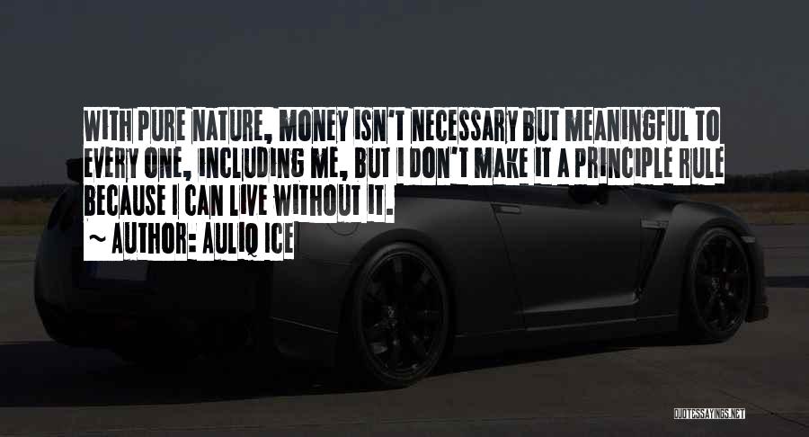 Live A Meaningful Life Quotes By Auliq Ice