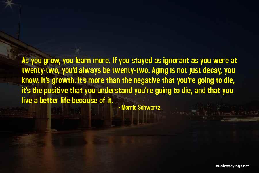 Live A Positive Life Quotes By Morrie Schwartz.