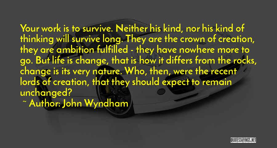 Live An Illuminated Life Quotes By John Wyndham