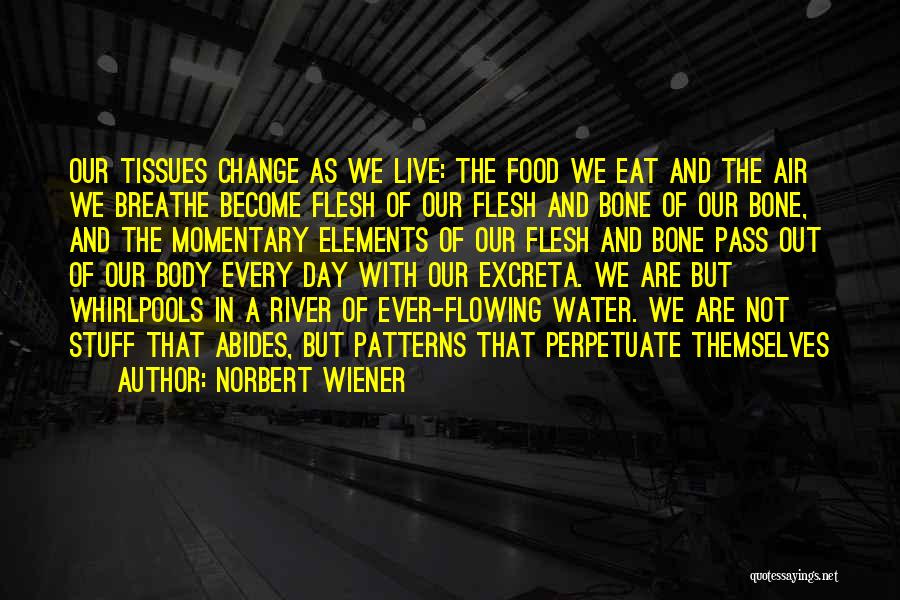 Live And Become Quotes By Norbert Wiener