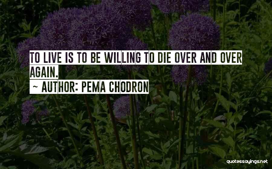 Live And Die Quotes By Pema Chodron