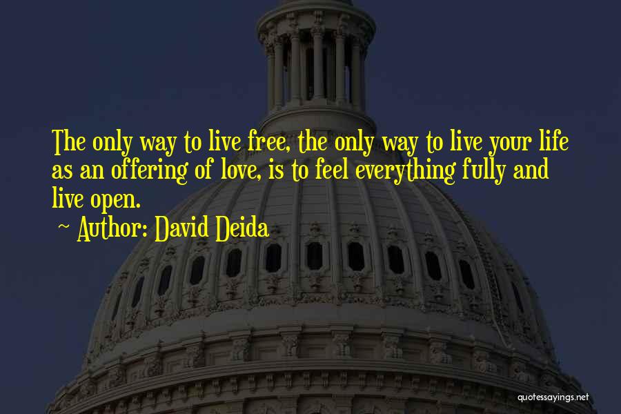 Live And Love Your Life Quotes By David Deida