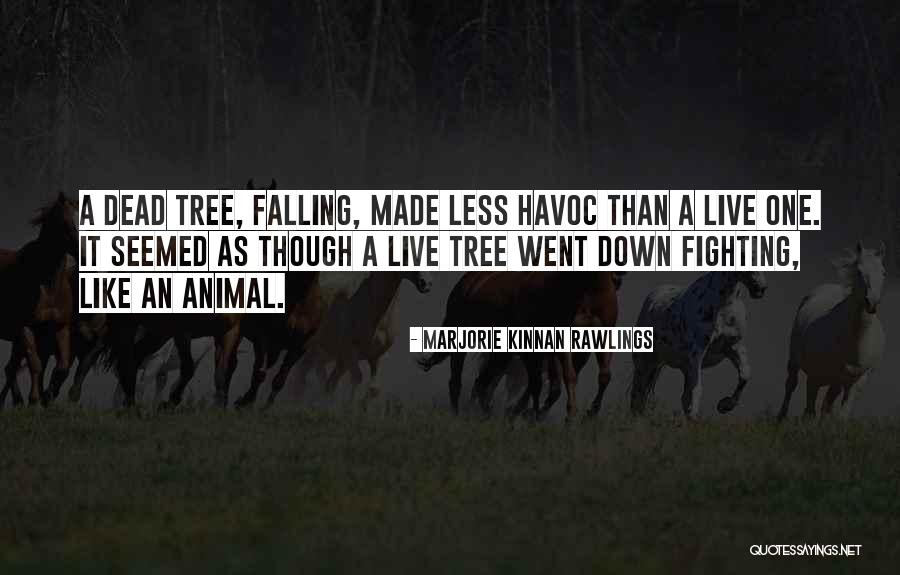 Live As Though Quotes By Marjorie Kinnan Rawlings Live As Though Quotes By Marjorie Kinnan Rawlings