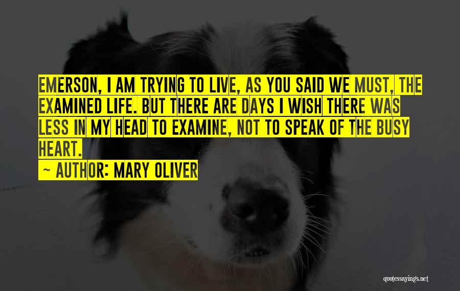 Live As You Wish Quotes By Mary Oliver