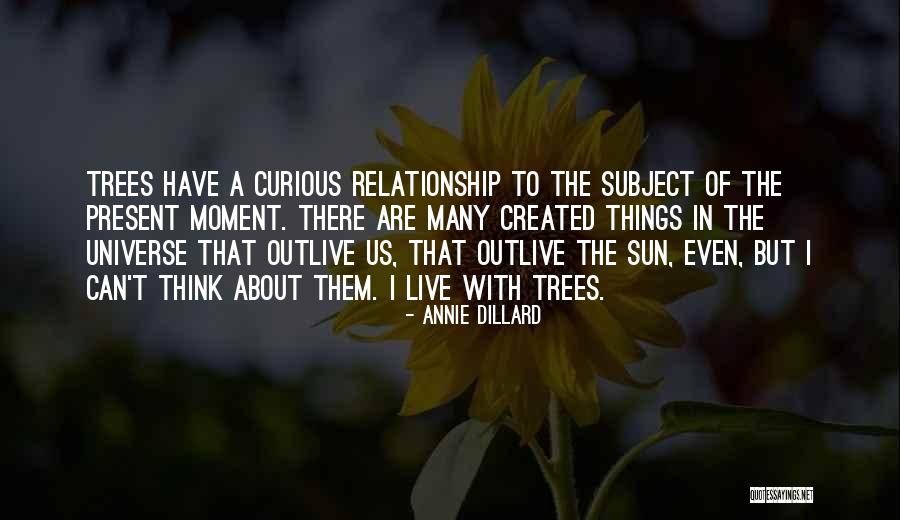 Live Curious Quotes By Annie Dillard