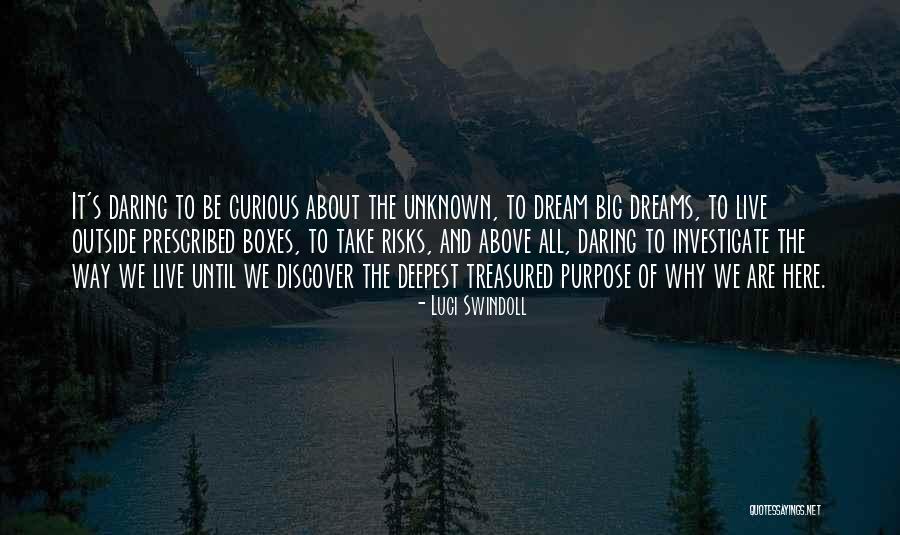 Live Curious Quotes By Luci Swindoll