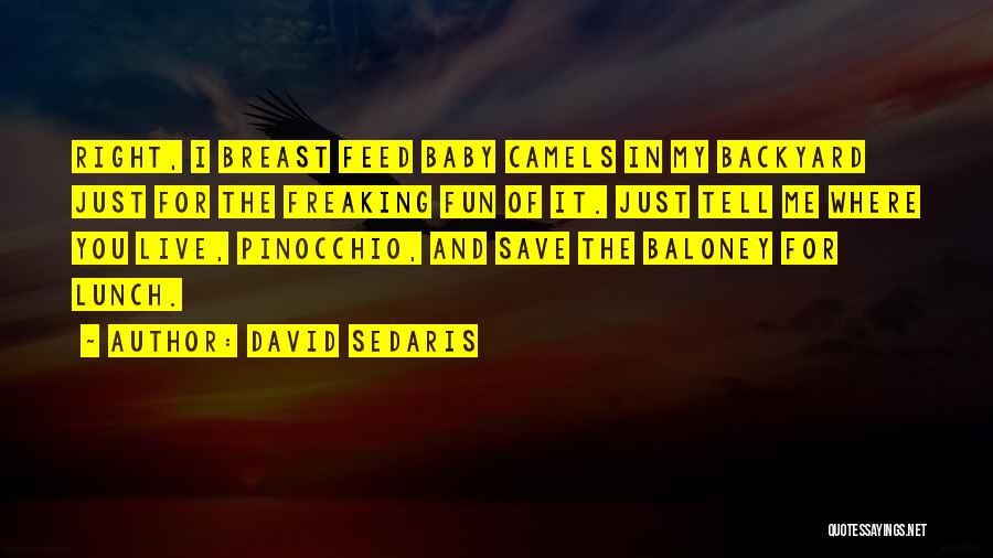 Live For Fun Quotes By David Sedaris