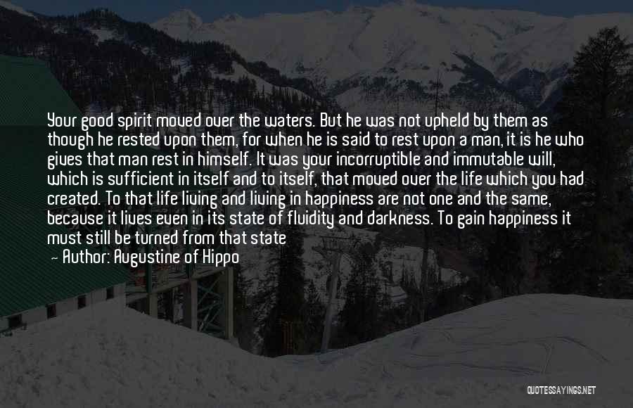 Live For Your Happiness Quotes By Augustine Of Hippo