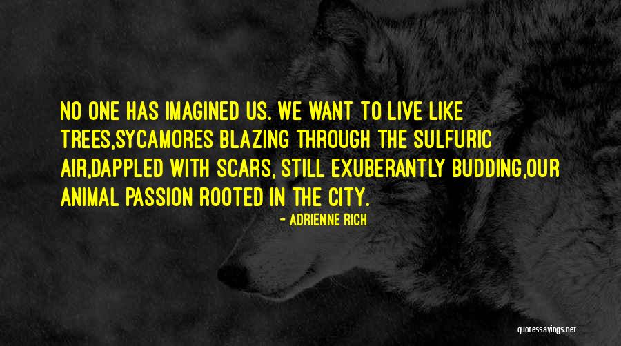 Live In Passion Quotes By Adrienne Rich Live In Passion Quotes By Adrienne Rich