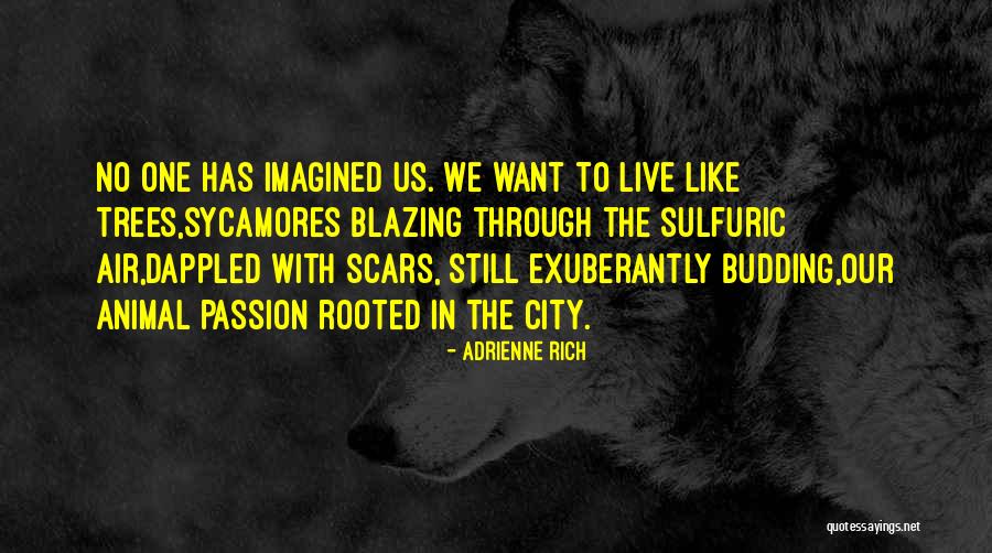 Live In Passion Quotes By Adrienne Rich