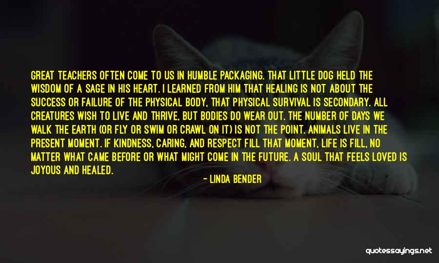Live In Present Not Future Quotes By Linda Bender Live In Present Not Future Quotes By Linda Bender