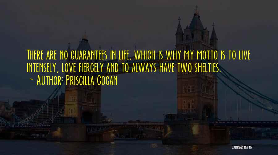 Live Intensely Quotes By Priscilla Cogan