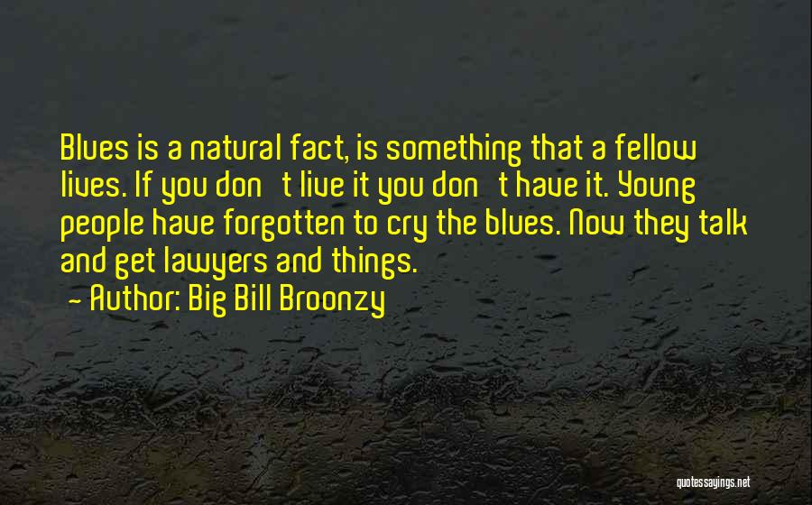 Live It Now Quotes By Big Bill Broonzy