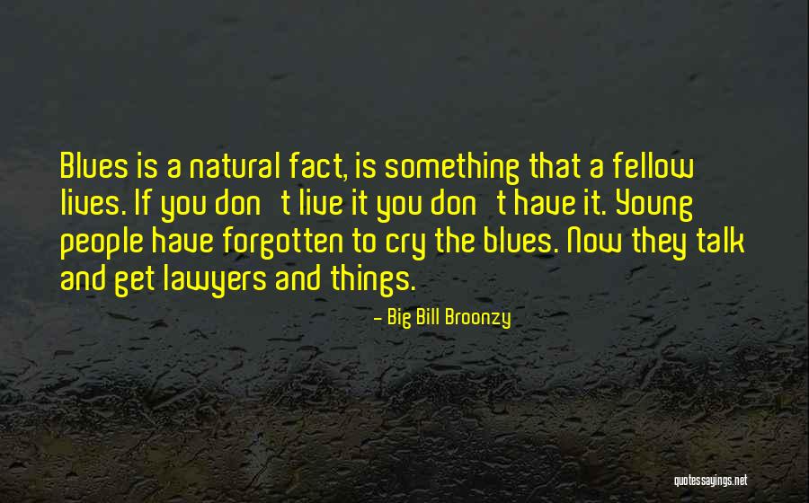 Live It Now Quotes By Big Bill Broonzy