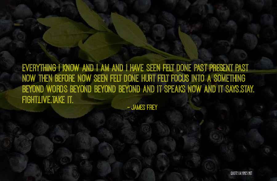 Live It Now Quotes By James Frey Live It Now Quotes By James Frey