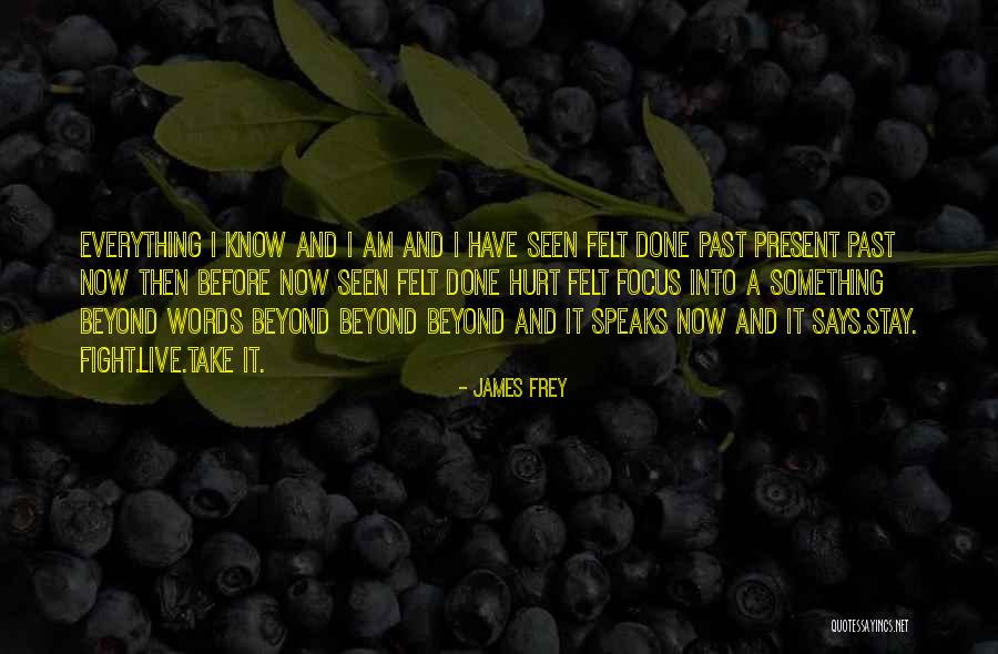 Live It Now Quotes By James Frey