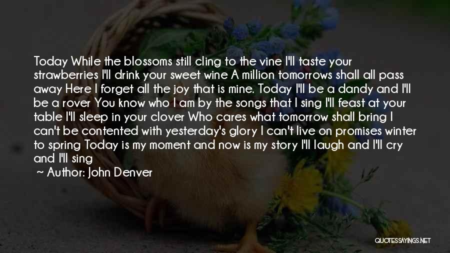 Live It Up Drink It Up Quotes By John Denver