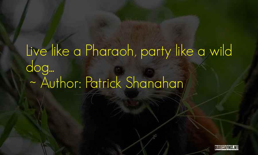 Live It Up Party Quotes By Patrick Shanahan