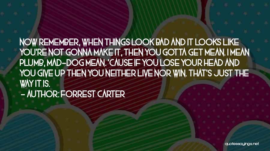 Live It Up Quotes By Forrest Carter