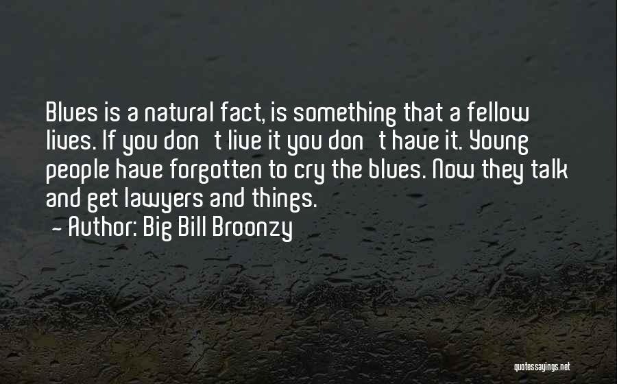 Live It Up While You're Young Quotes By Big Bill Broonzy