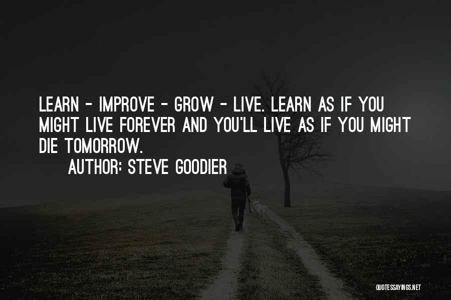 Live Learn And Grow Quotes By Steve Goodier