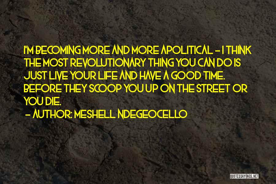 Live Life Before You Die Quotes By Meshell Ndegeocello