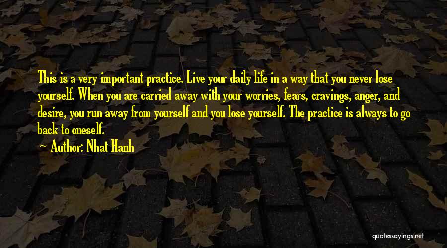 Live Life Daily Quotes By Nhat Hanh