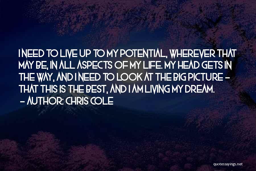 Live Life Dream Big Quotes By Chris Cole