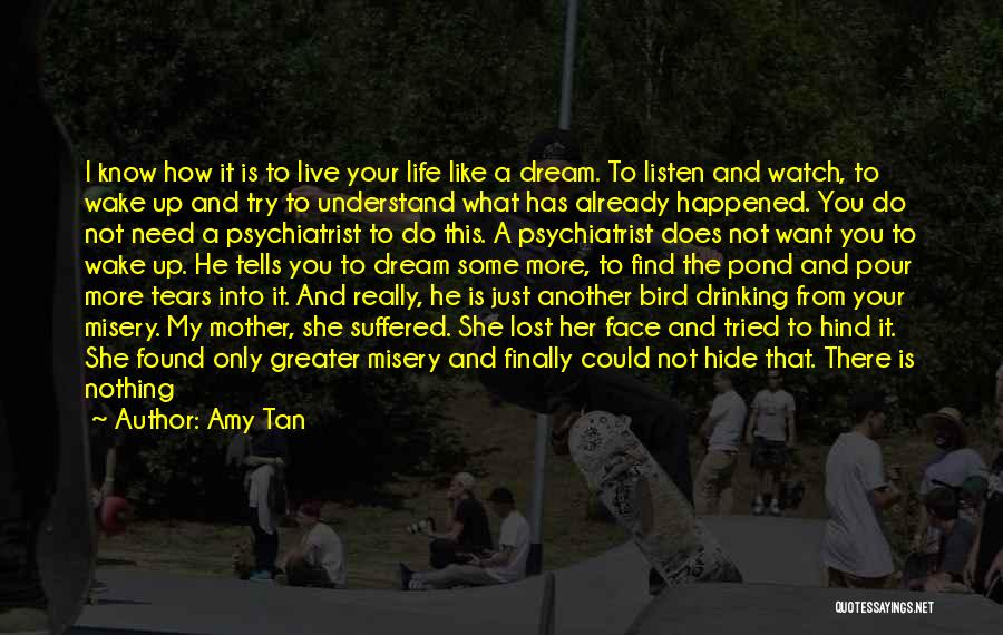 Live Life Dream Quotes By Amy Tan