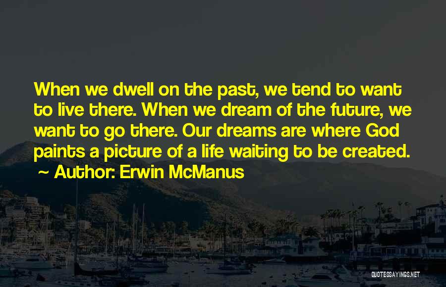 Live Life Dream Quotes By Erwin McManus