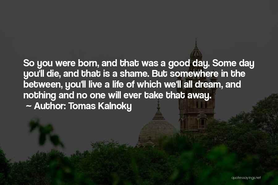 Live Life Dream Quotes By Tomas Kalnoky