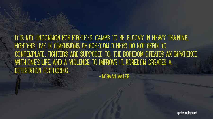 Live Life For Others Quotes By Norman Mailer