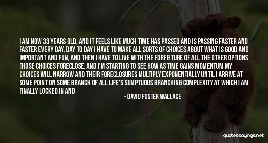 Live Life Fun Quotes By David Foster Wallace Live Life Fun Quotes By David Foster Wallace