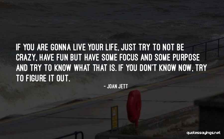 Live Life Fun Quotes By Joan Jett Live Life Fun Quotes By Joan Jett