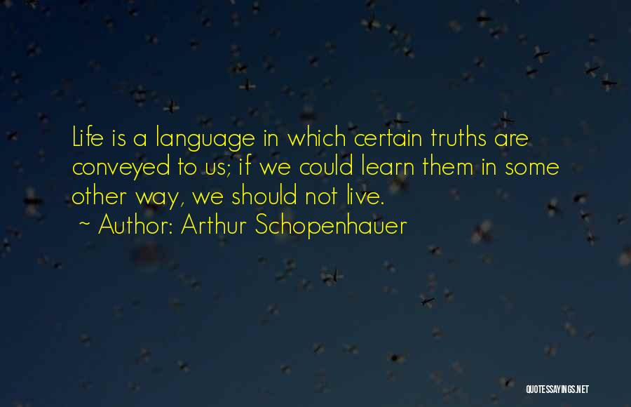 Live Life Learn Quotes By Arthur Schopenhauer