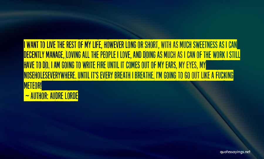 Live Life Like You're Dying Quotes By Audre Lorde