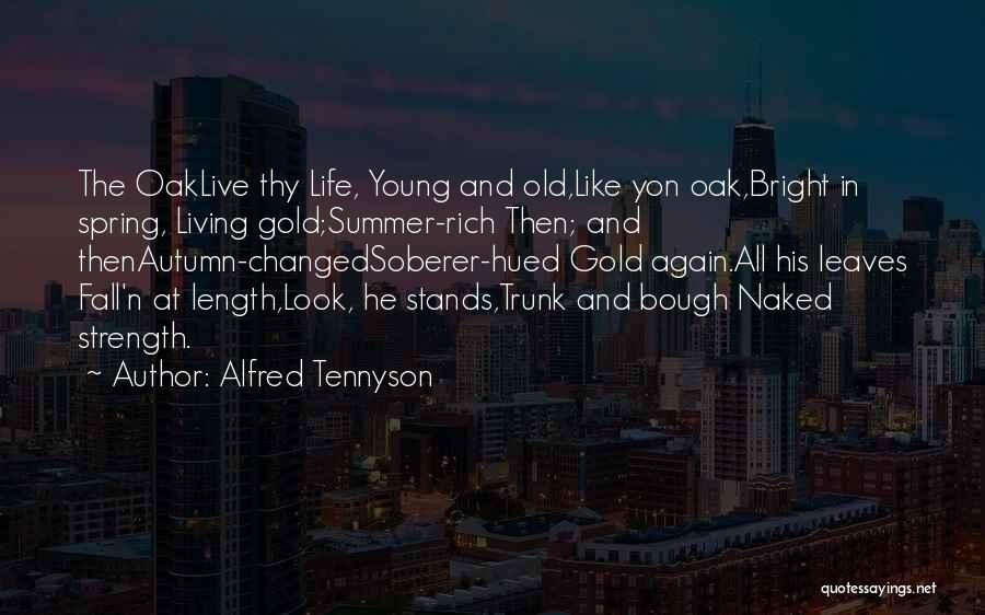 Live Life While You're Young Quotes By Alfred Tennyson