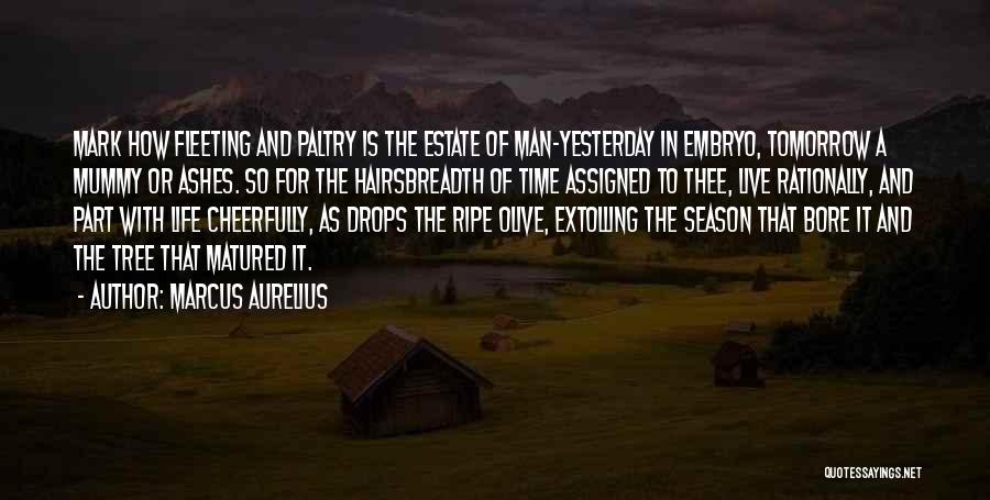 Live Life With Gratitude Quotes By Marcus Aurelius