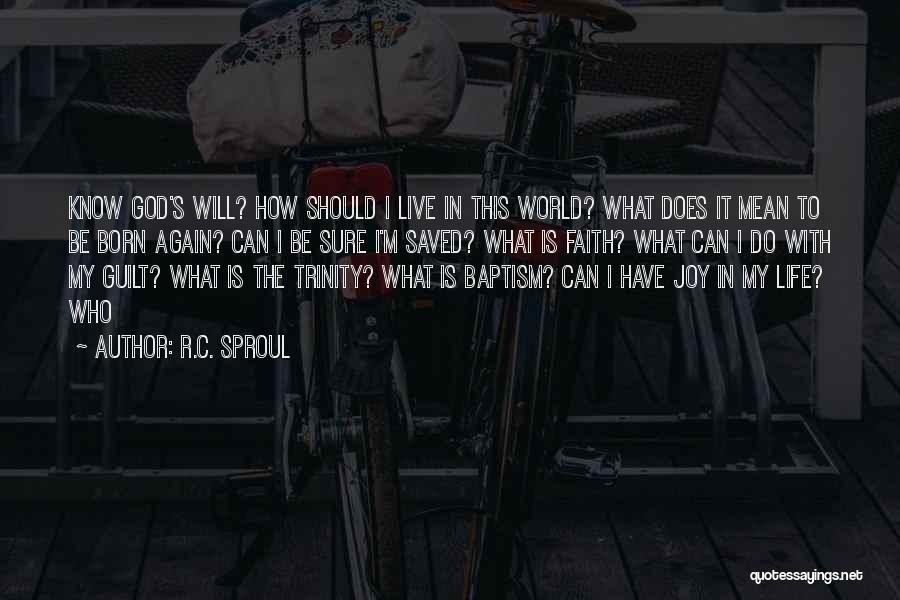 Live Life With Joy Quotes By R.C. Sproul