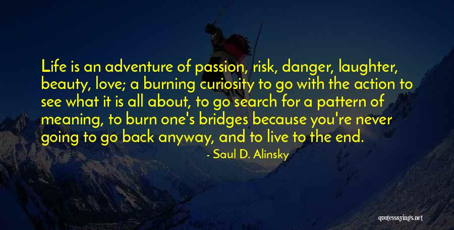 Live Life With Passion Quotes By Saul D. Alinsky Live Life With Passion Quotes By Saul D. Alinsky