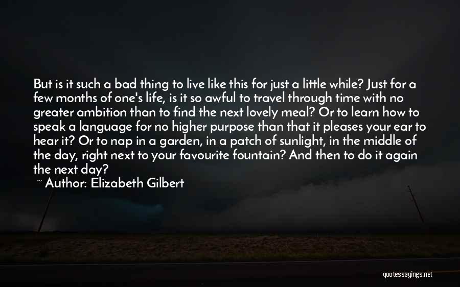 Live Life With Purpose Quotes By Elizabeth Gilbert