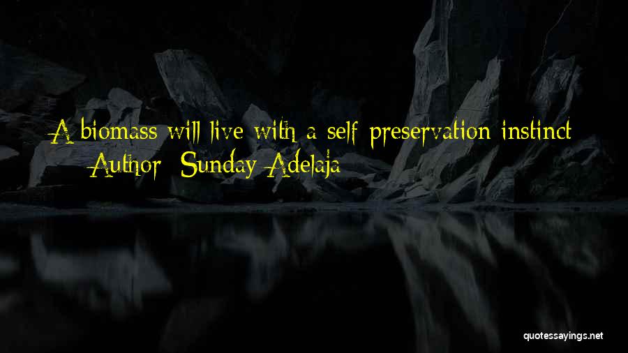 Live Life With Purpose Quotes By Sunday Adelaja