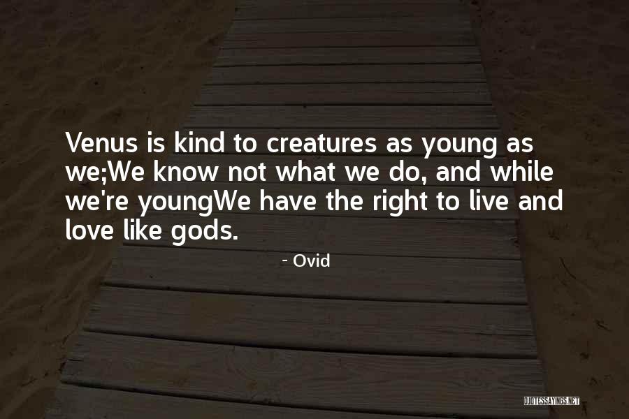 Live Like We're Young Quotes By Ovid