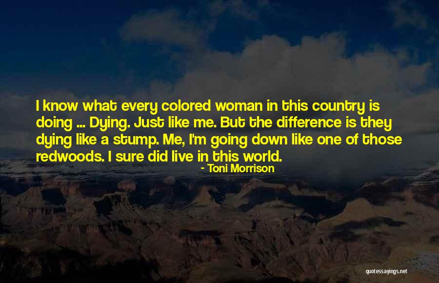 Live Like You Were Dying Quotes By Toni Morrison Live Like You Were Dying Quotes By Toni Morrison