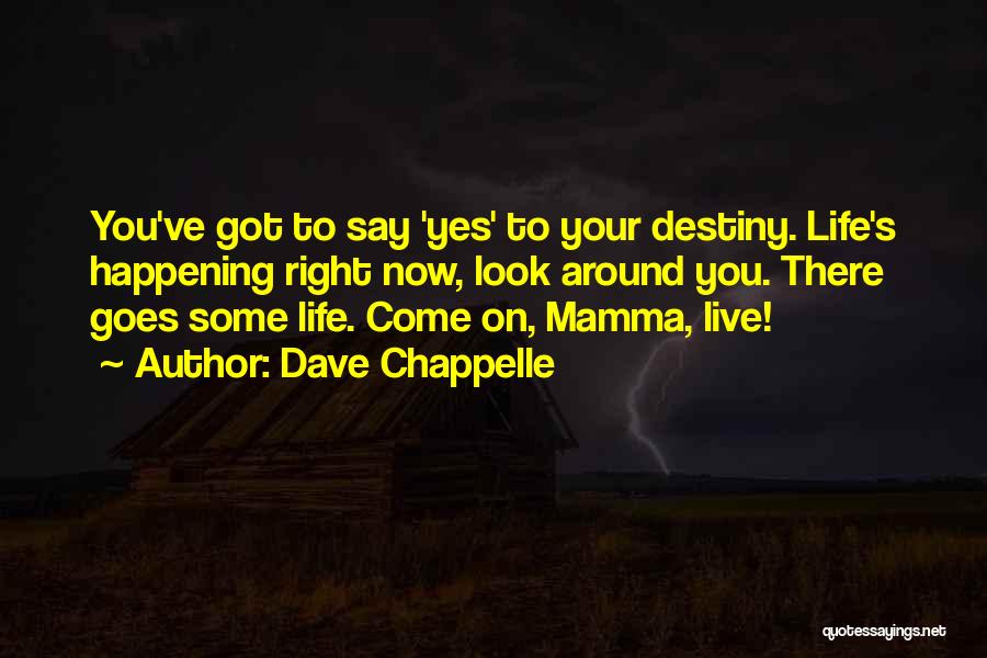 Live Right Now Quotes By Dave Chappelle