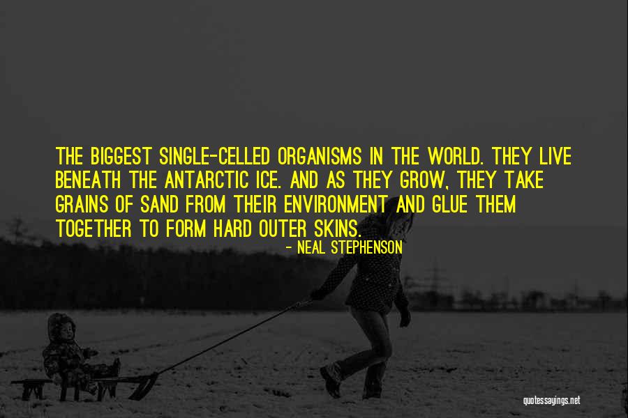 Live Sand Quotes By Neal Stephenson Live Sand Quotes By Neal Stephenson