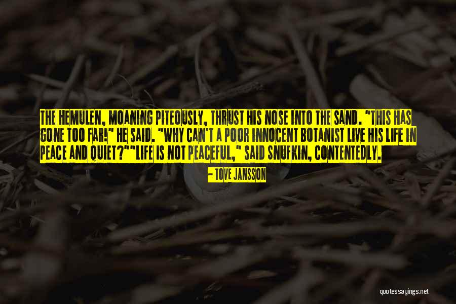Live Sand Quotes By Tove Jansson Live Sand Quotes By Tove Jansson