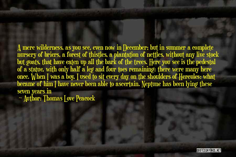 Live Stock Quotes By Thomas Love Peacock