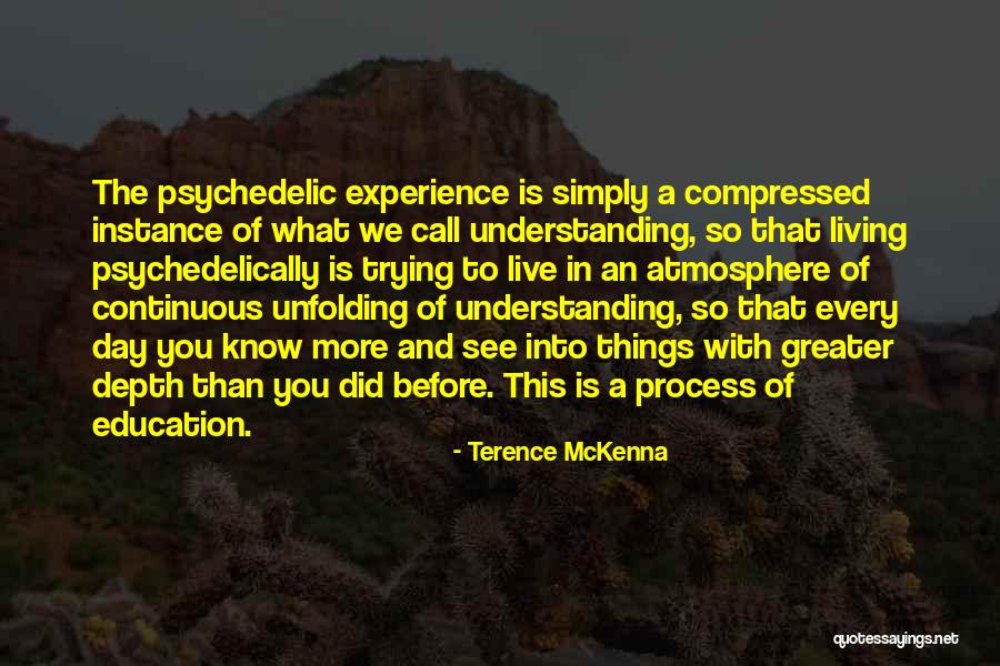 Live That Process Quotes By Terence McKenna Live That Process Quotes By Terence McKenna