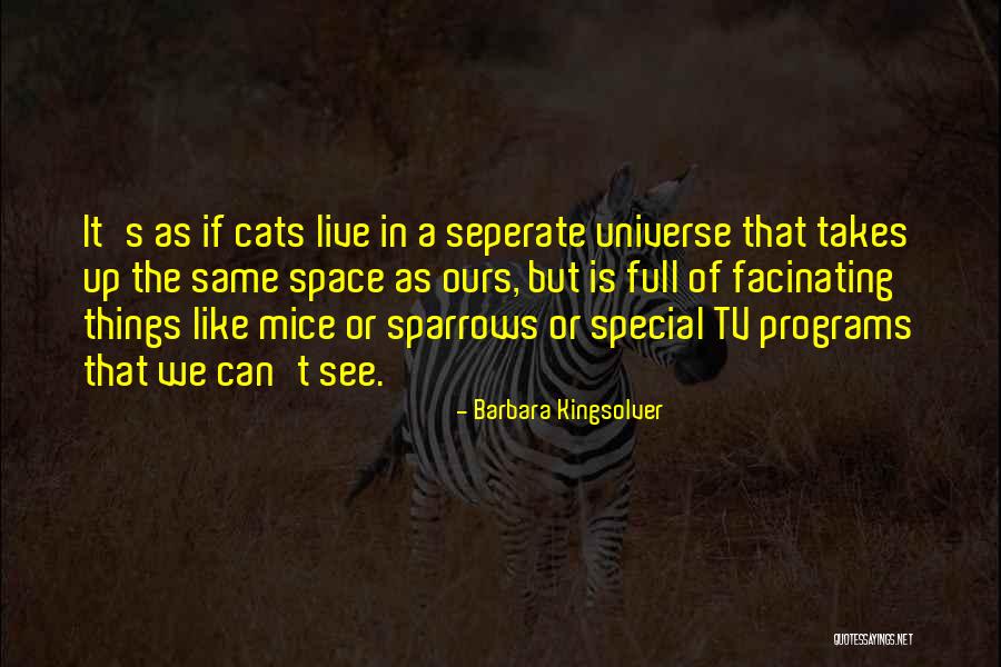 Live Tv Quotes By Barbara Kingsolver